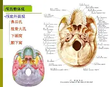 rao抡 rao抡