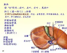 rao抡 rao抡